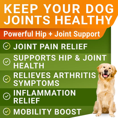 Liquid Glucosamine for Dogs (16 OZ) - All-Natural Hip & Joint Supplement for Dogs, Glucosamine Chondroitin Liquid, MSM & Collagen for Dogs Mobility, Joint Pain Relief for Small & Large Dogs
